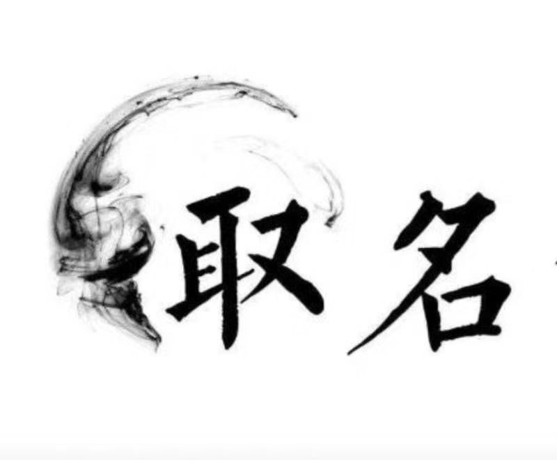  桐城宝宝取名 大师一对一人工起名